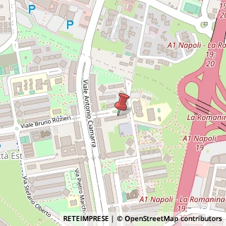 Mappa Viale Bruno Rizzieri, 244, 00173 Roma, Roma (Lazio)