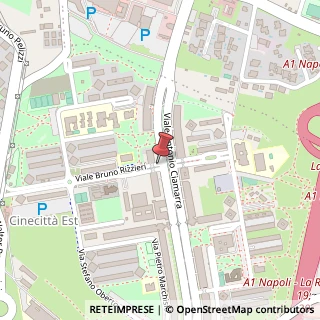 Mappa Viale Bruno Rizzieri, 203, 00173 Roma, Roma (Lazio)