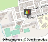 Scuole Pubbliche Roma,00133Roma