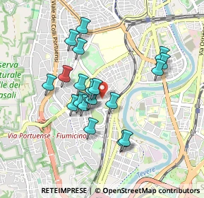 Mappa Largo Ruspoli Emanuele, 00149 Roma RM, Italia (0.807)