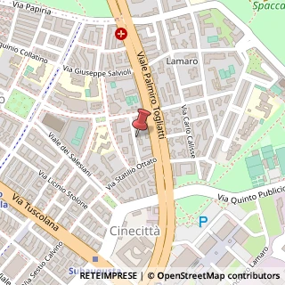Mappa Via Guido Zanobini, 21, 00175 Roma, Roma (Lazio)