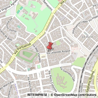 Mappa Via Leopoldo Ruspoli, 41, 00149 Roma, Roma (Lazio)