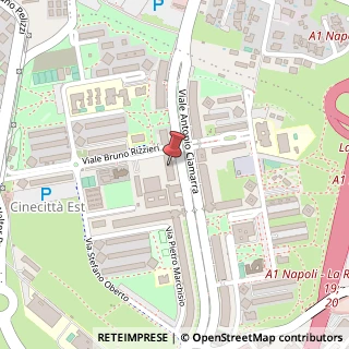 Mappa Viale Bruno Rizzieri, 200, 00173 Roma, Roma (Lazio)