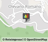 Licei - Scuole Private,00035Roma
