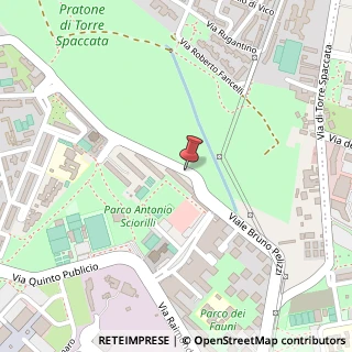 Mappa Viale Bruno Pelizzi,  161, 00173 Roma, Roma (Lazio)