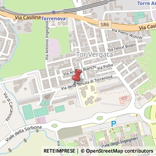Mappa Via tenuta torrenova 142, 00133 Roma, Roma (Lazio)