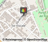 Carrozzerie Automobili,00178Roma
