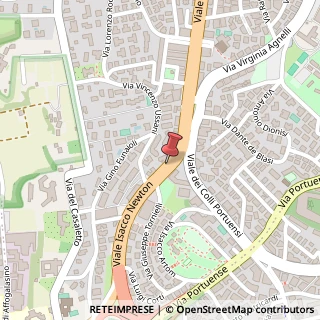 Mappa Viale Newto, 34, 00151 Roma, Roma (Lazio)