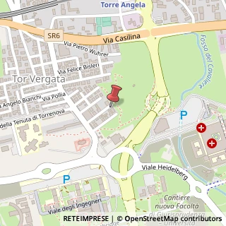 Mappa Via Cesare Peroni, 30, 00133 Roma, Roma (Lazio)
