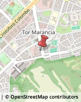 Viale Tor Marancia, 86,00147Roma