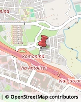 Via Angelo Motta, 8,00133Roma