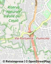 Via Pietro Maroncelli, 45,00149Roma