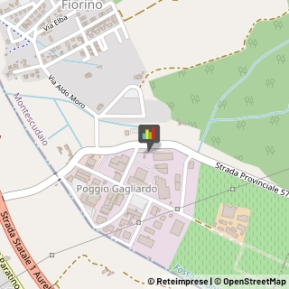 Smaltimento e Trattamento Rifiuti - Servizio Montescudaio,56040Pisa