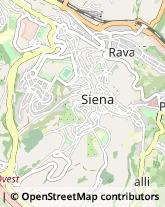 Consulenza Informatica Siena,53100Siena