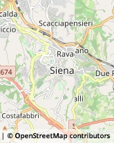 Consulenza Informatica Siena,53100Siena