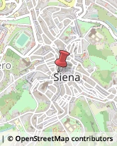 Via Delle Terme, 6,53100Siena