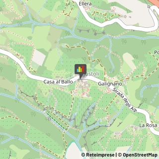 Agriturismi Siena,53100Siena