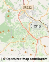 Studi Tecnici ed Industriali Sovicille,53018Siena