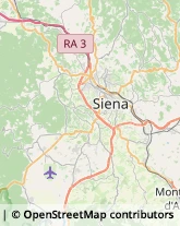 Studi Tecnici ed Industriali Siena,53100Siena