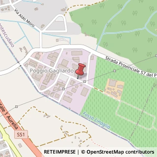 Mappa Via di Poggio Gagliardo, 52, 56040 Montescudaio, Pisa (Toscana)