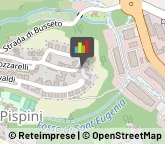 Agenti e Rappresentanti di Commercio,53100Siena