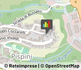 Agenti e Rappresentanti di Commercio,53100Siena