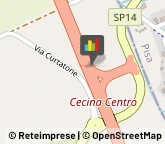 Libri, Fumetti e Riviste Cecina,57023Livorno