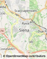 Alimentari Siena,53100Siena