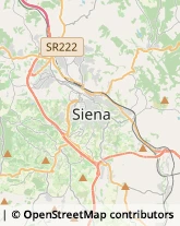 Alimentari Siena,53100Siena