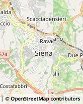 Medicina Interna - Medici Specialisti Siena,53100Siena