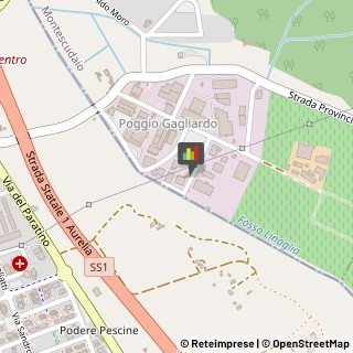 Carrozzerie Automobili Montescudaio,56040Pisa