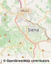 Letti Siena,53100Siena