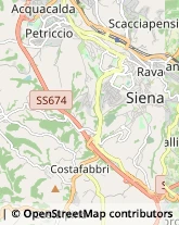 Letti Siena,53100Siena