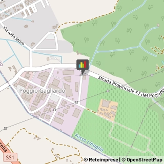 Onoranze e Pompe Funebri Montescudaio,56040Pisa