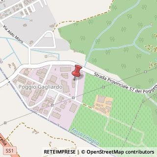 Mappa Via di Poggio Gagliardo, 46, 56040 Montescudaio, Pisa (Toscana)