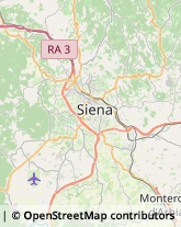 Trasportatori Meccanici Siena,53100Siena