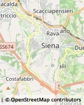 Trasportatori Meccanici Sovicille,53018Siena