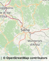 Trasportatori Meccanici Siena,53100Siena