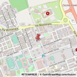 Mappa Via Gaetano Donizetti, 57023 Cecina LI, Italia, 57023 Cecina, Livorno (Toscana)
