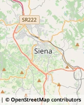 Assicurazioni Siena,53100Siena