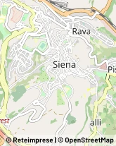 Assicurazioni Siena,53100Siena