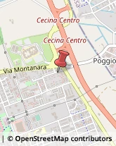 Via Antonio Cederna, 8,57026Cecina