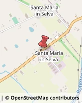 Contrada S. Maria in Selva, 73,62010Treia