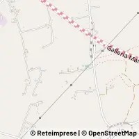 Peta Modica
