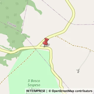 Mappa Località, 88067 Cenadi, Catanzaro (Calabria)