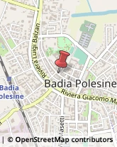 Via Sant'Alberto, 58,45021Badia Polesine