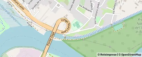 Mappa Torino