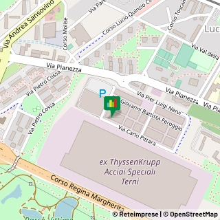 Via Carlo Pittara, 50,10151Torino