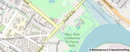 Mappa Torino