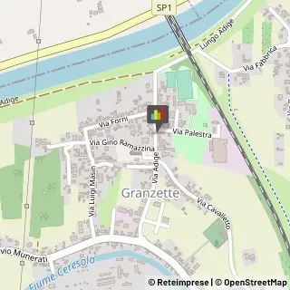 Articoli ed Alimenti per Animali Domestici - Dettaglio Rovigo,45100Rovigo